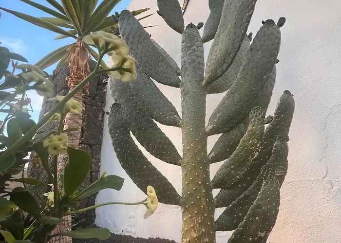 Casa Panadero's, 3 Bed With Heated Pool بلايا بلانكا